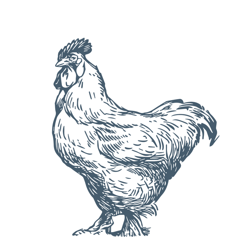 5-copy.png Poulet de chair